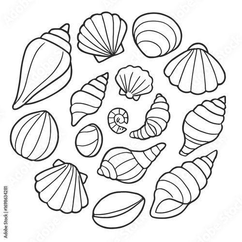 Outline illustrations of various ocean seashells and elegant conch shells. Perfect for coloring pages, beach themes, marine life designs, and summer crafts. Diverse mollusk shells like scallop, clam, 