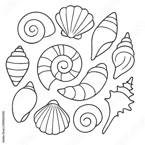 A captivating collection of intricately outlined seashells, featuring a diverse array of spiral, bivalve, conical, and elongated marine mollusk shells, perfect for coloring pages, beach-themed designs