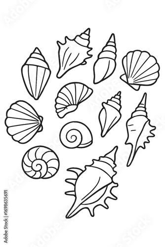 An intricate collection of diverse ocean seashells, rendered in simple black and white line art outlines, perfect for coloring books, craft projects, marine biology lessons, decorative graphic design 