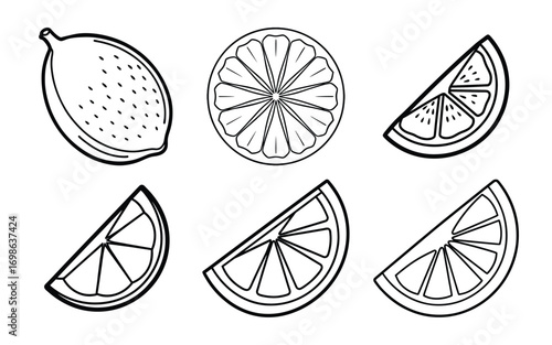 Vector art of lemon slices and whole
