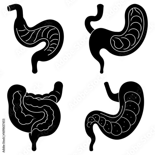 Illustration of four stylized digestive systems with internal organ structures shown in black and white