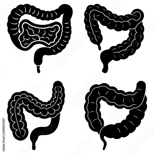 Illustration depicting a set of four black and white colon illustrations showing different shapes and forms