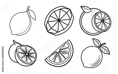 Vector art of citrus fruit collection