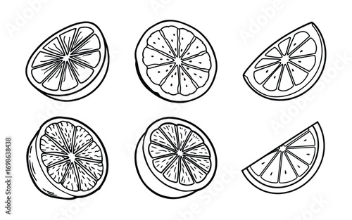 Vector art of hand drawn orange fruit slices