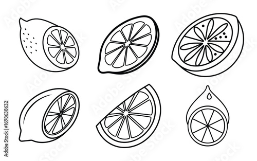 Vector art of collection of lemon slices