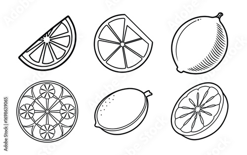 Vector art of hand drawn lemon slices