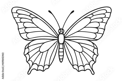 Elegant Butterfly Outline Drawing for Coloring Pages, Stencils, and Craft Projects. Simple Black and White Insect Line Art, Perfect for Kids and Adults. Detailed Wing Veins, Printable Vector Design, N