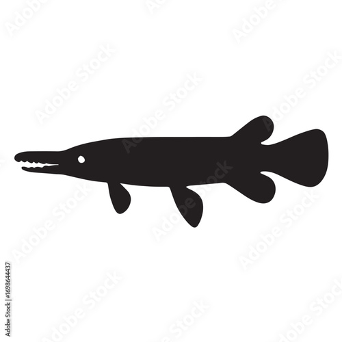 Alligator gar.eps