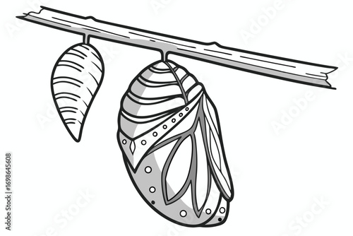 Illustration of Two Chrysalises Hanging From a Tree Branch in a Simple Black and White Style