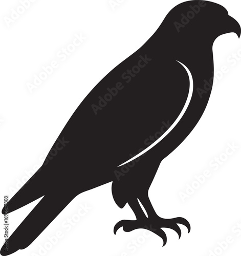 Hawk silhouette vector design for wild bird, predator, raptor, forest, flying, nature art and decor.