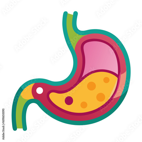 Vibrant illustration of the human stomach, perfect for medical, educational, and health-related content. Colorful design, ideal for anatomy lessons and digestive system visuals.