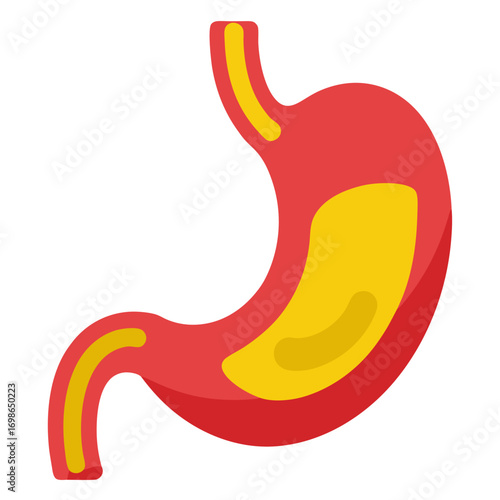 Human stomach illustration, vibrant, clean, and modern design perfect for medical presentations, educational resources, or healthcare marketing materials, showcasing healthy digestion