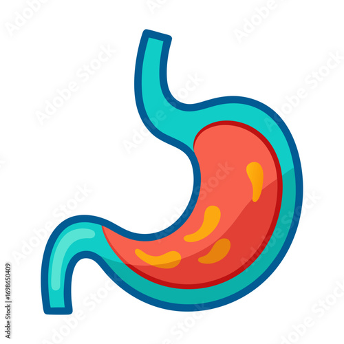 Vibrant stomach illustration perfect for health education or medical designs, showcasing digestion and anatomy with clarity and appeal for a modern audience, originally a vector graphic