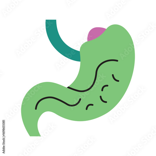 Simple Medical Graphic of Stomach for Gastroenterology Concepts