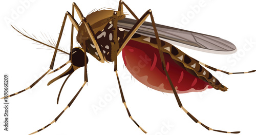  blood filled cartoon of a brown malaria eps vector on white background