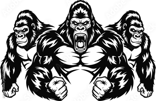 Three powerful muscular gorillas standing together aggressively showing their strength and dominance in a bold black and white illustration