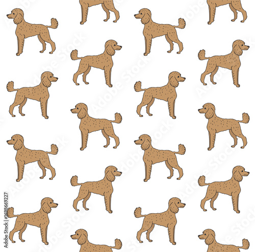 Vector hand drawn sketch doodle colored poodle dog isolated on white background