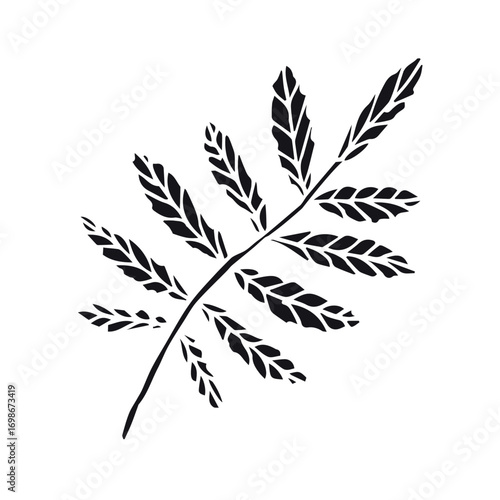 Vector hand drawn rowan leaf silhouette isolated on white background