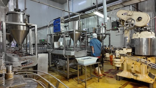 Automated Food Production Line: A glimpse inside a bustling food processing facility, showcasing advanced machinery and automated systems working in unison to produce goods efficiently.