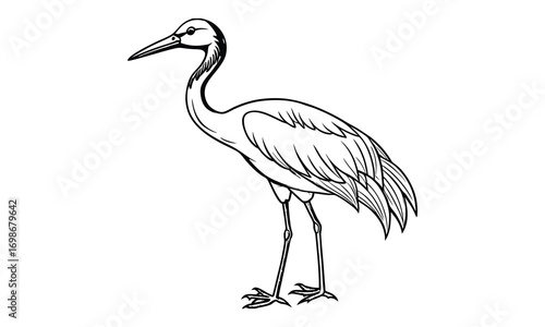 Crane Kids t shirt design silhouette and vector line art, High-Quality Illustration, Ideal for Relaxation and Stress Relief, Perfect for Adult Coloring Books and Printable Art Therapy.