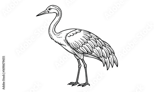 Crane Kids t shirt design silhouette and vector line art, High-Quality Illustration, Ideal for Relaxation and Stress Relief, Perfect for Adult Coloring Books and Printable Art Therapy.