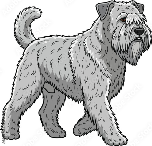 Bouvier des Flandres dog walking trotting side view illustration