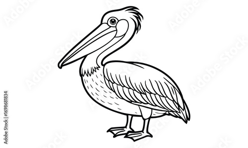 Pelican Kids t shirt design silhouette and vector line art, Detailed High-Quality Line Art, Suitable for Adult Coloring Books, Stress Relief, Relaxation, and Printable Art Therapy Projects.