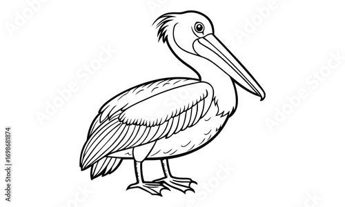 Pelican Kids t shirt design silhouette and vector line art, Detailed High-Quality Line Art, Suitable for Adult Coloring Books, Stress Relief, Relaxation, and Printable Art Therapy Projects.