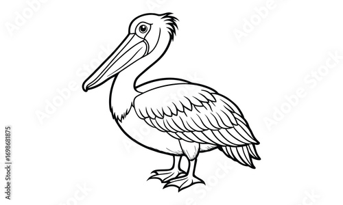 Pelican Kids t shirt design silhouette and vector line art, Detailed High-Quality Line Art, Suitable for Adult Coloring Books, Stress Relief, Relaxation, and Printable Art Therapy Projects.