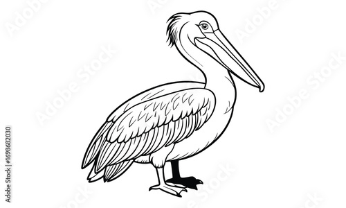 Pelican Kids t shirt design silhouette and vector line art, Detailed High-Quality Line Art, Suitable for Adult Coloring Books, Stress Relief, Relaxation, and Printable Art Therapy Projects.