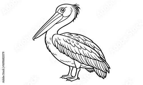 Pelican Kids t shirt design silhouette and vector line art, Detailed High-Quality Line Art, Suitable for Adult Coloring Books, Stress Relief, Relaxation, and Printable Art Therapy Projects.