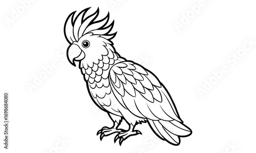 Cockatoo Kids t shirt design silhouette and vector line art, High-Quality Illustration, Ideal for Relaxation and Stress Relief, Perfect for Adult Coloring Books and Printable Art Therapy.