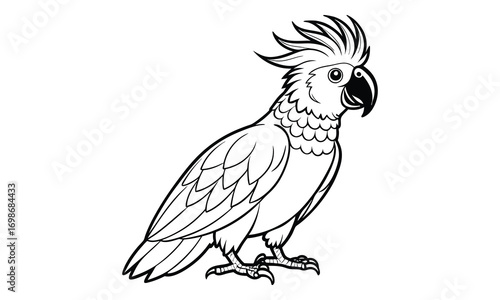 Cockatoo Kids t shirt design silhouette and vector line art, High-Quality Illustration, Ideal for Relaxation and Stress Relief, Perfect for Adult Coloring Books and Printable Art Therapy.