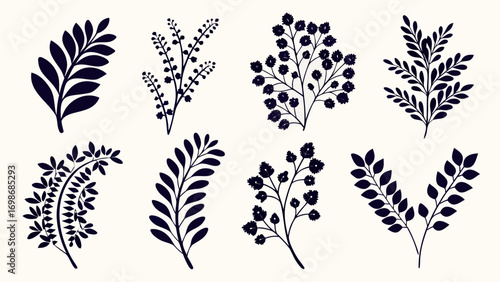Elegant dark botanical sprigs and branches perfect for decorative accents and design elements