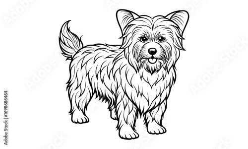 Bear dog Kids t shirt design silhouette and vector line art, Detailed High-Quality Line Art, Suitable for Adult Coloring Books, Stress Relief, Relaxation, and Printable Art Therapy Projects.