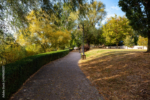 Autumn park pathway with hedge, trees and warm afternoon light