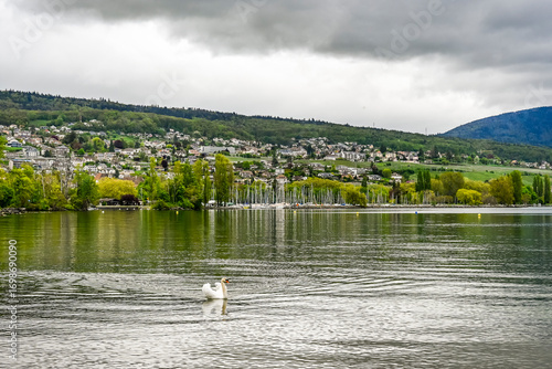 Colombier, Neuenburgersee, Seeufer, Uferweg, Strand, Hafen, Wassersport, Wasservögel, Naturschutz, Auvernier, Neuenburg, Seerundfahrt, Frühling, Schweiz