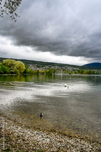 Colombier, Neuenburgersee, Seeufer, Uferweg, Strand, Hafen, Wassersport, Wasservögel, Naturschutz, Auvernier, Neuenburg, Seerundfahrt, Frühling, Schweiz