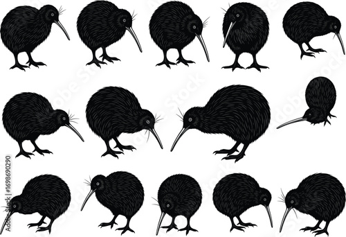 Kiwi bird silhouettes in various poses, flightless bird illustration, New Zealand wildlife symbol, nature animal design, vector graphic art.