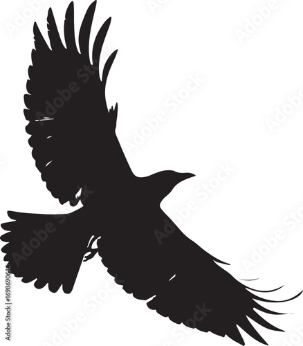 Silhouette of a bird of prey in flight with wings spread hawk