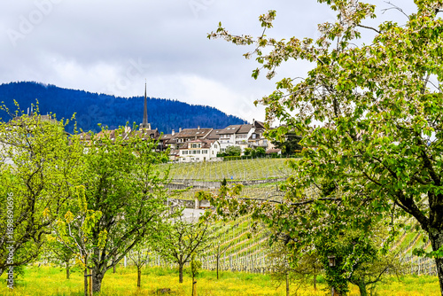 Cortaillod, Petit-Cortaillod, Weindorf, Weinberge, Neuenburgersee, Weinbauer, Uferweg, Seeufer, Alpen, Alpenpanorama, Naturschutz, Neuenburg, Frühling, Schweiz