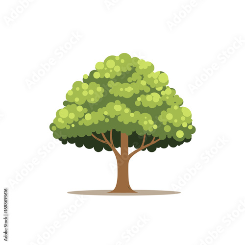 A lush green tree standing tall with a fuller crown and a sturdy brown trunk on a white background