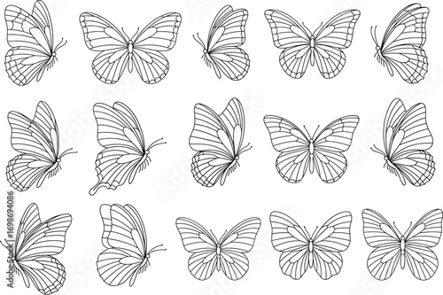 Set of beautiful butterfly line art illustrations, detailed wings, various butterfly poses, nature insect collection, delicate flying insects design