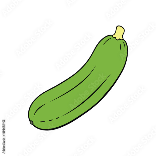 Zucchini Vector Art
