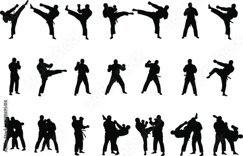 Silhouette of martial artists practicing kicks and combat moves, self-defense training, karate, taekwondo, fighting stances, martial arts techniques, sport, athletic activity, combat sport