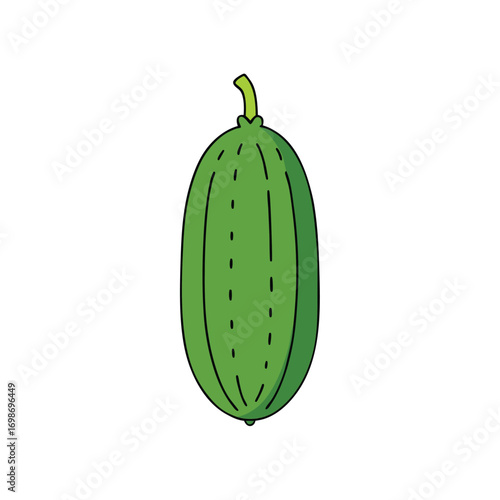 Bitter Melon Vector Art