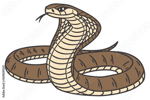 Stylized Cobra Illustration Detailed with Color Variations and Unique Textural Patterns Representing Scales and Skin Markings on a White Background
