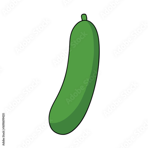 Cucumber Vector Art