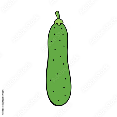 Ivy Gourd Vector Illustration