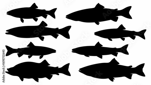 Dynamic school of diverse salmon silhouettes swimming gracefully in unison, perfect for aquatic design